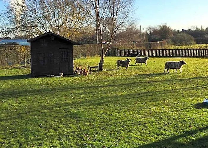 The Barn Bed And Breakfast